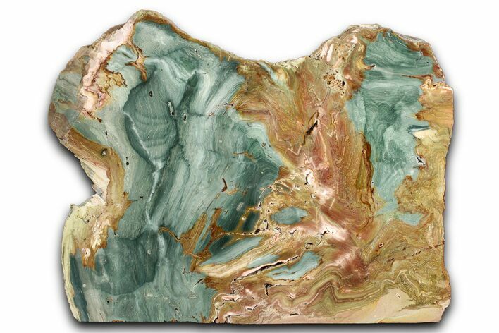 Free-Standing, Gary Green Jasper (Larsonite) Bog Wood - Oregon #334812